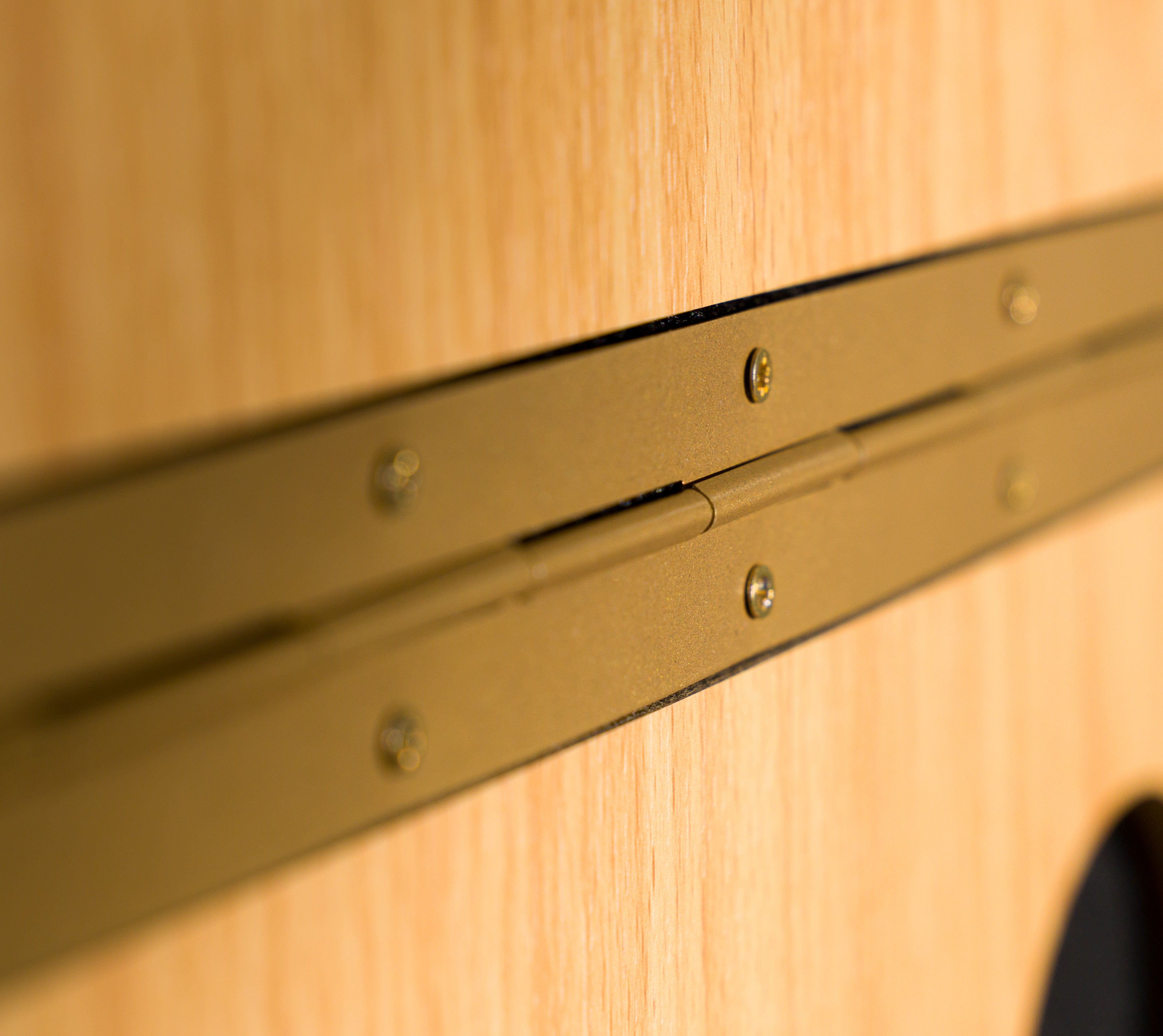 Up close shot of the PIB showing the hinge