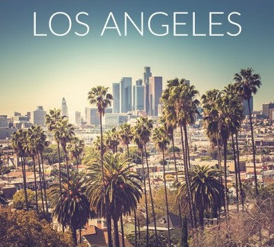 On-Site Consultations in LA - May 2019
